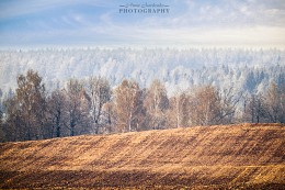 Spring in the country / ***