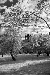 Spring in Kolomenskoye / ***