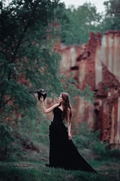 &nbsp; / ***