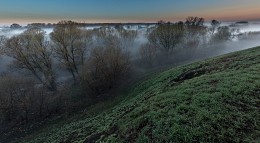 Fog / ***