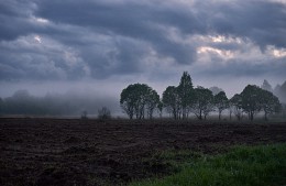 In den nebligen Stille ... / ***