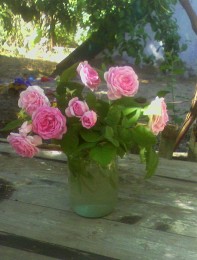 Morning Bouquet / ***