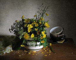 Yellowish / ***