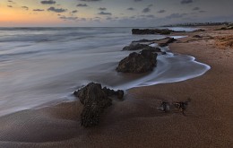 Spring evening / ***