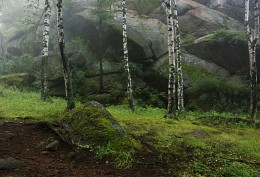 In protected areas .... / ***