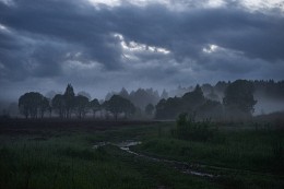 Misty night ... / ***