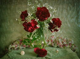 still life / ***
