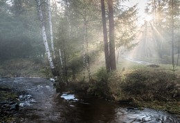 Fog and sun / ***