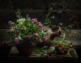 Clover summer ... / ...