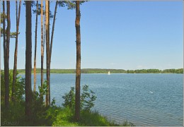 In diesem Sommer / ***