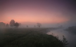 Morning / ***