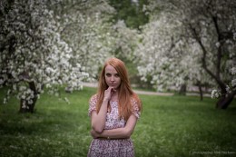 &nbsp; / ***