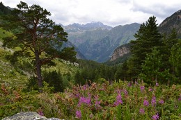 River valley. Dzhalkakol KCR / ***