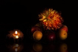 In autumn color / ***