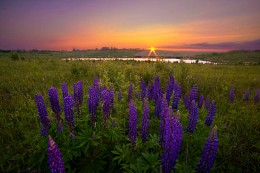 Good evening / ***