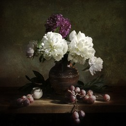 Peonies / ***