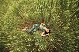 sleep in wheat / ***