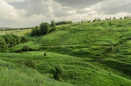 Green Symphony. / ***