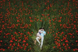 Poppies / ***