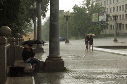Rain / ***