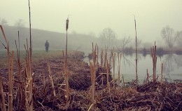 In the morning on the river / ***