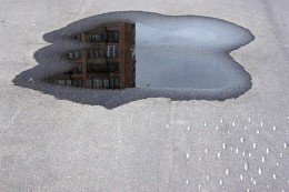  / ***