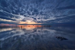 Dreams Onega / ***