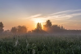 Through the mist. / ***