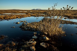 Summer in Chukotka / ***