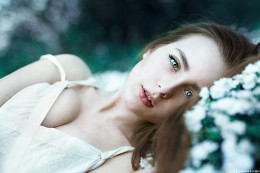 Sasha / ***