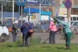 Stopping. Do not stand babonki! / ***