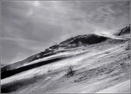 Serpentine 2 / ***