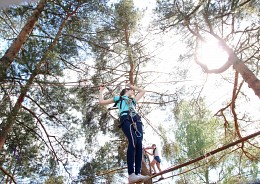 People on trees / ***