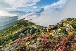 When the mountains exude a fragrance / ***