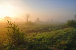 Wake up to the valley / ***