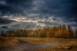 Nature / ***