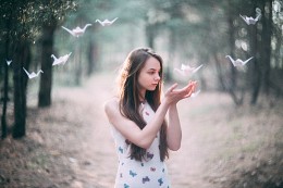 Birds / ***