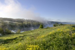 Morning fog / ***