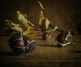 A little exotic ... / ***