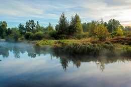Morning, August, quiet river ... / ***