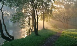 ... The nuances of dawn ... / ***