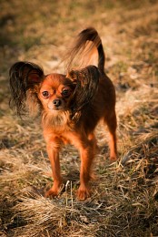 Mitek / 1/250, f/4, 75mm