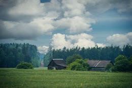 _house_ / ***