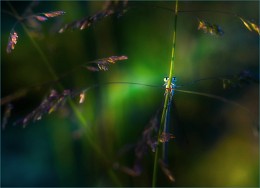 Who is not hidden / ***