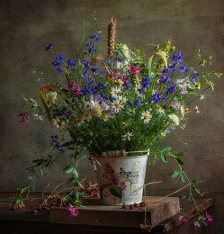The June Sitchikov:) ... / ...
