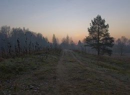 Cold Dawn / ***