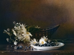 Daisies and blue-gray berries ... / ***