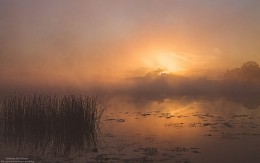 Nebel in der Morgendämmerung. / ***