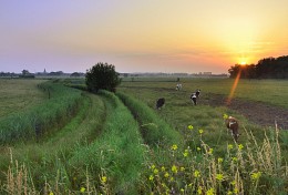 The beginning of a warm summer day. / ***