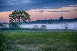 Evening / ***